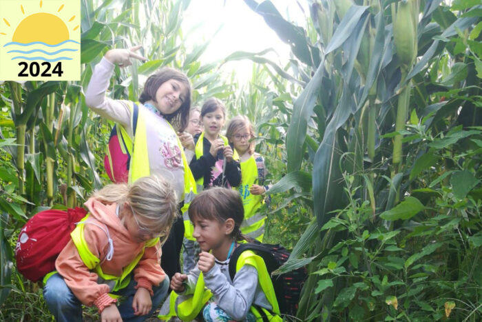 Un groupe de jeunes filles dans un champ de maïs