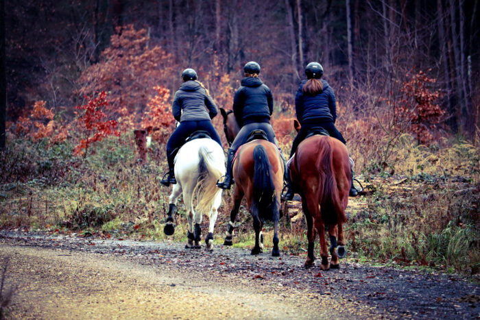 Équitation Passion à Lauzerte Printemps